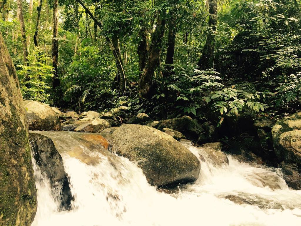 Bambu Getaway Daire Kuah Dış mekan fotoğraf