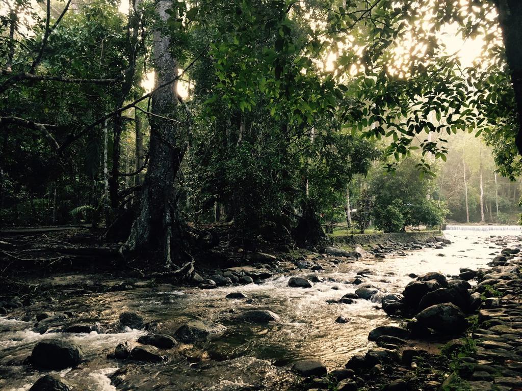 Bambu Getaway Daire Kuah Dış mekan fotoğraf